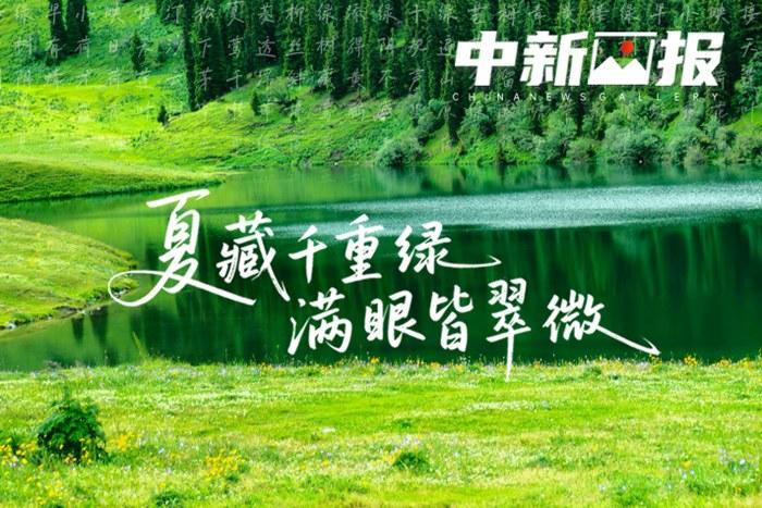 【詩畫中國(guó)】夏藏千重綠 滿眼皆翠微