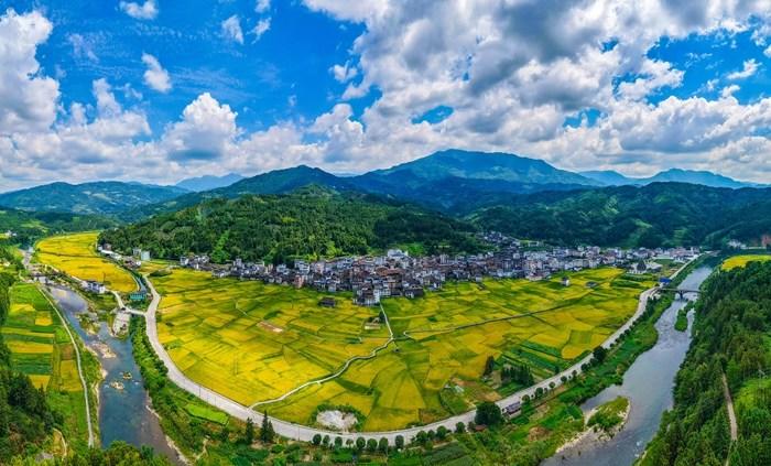 廣西龍勝：秋染侗鄉(xiāng) 景致如畫