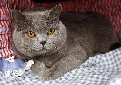 �M�D���W���R�����P���ġ�����؈��һһ����