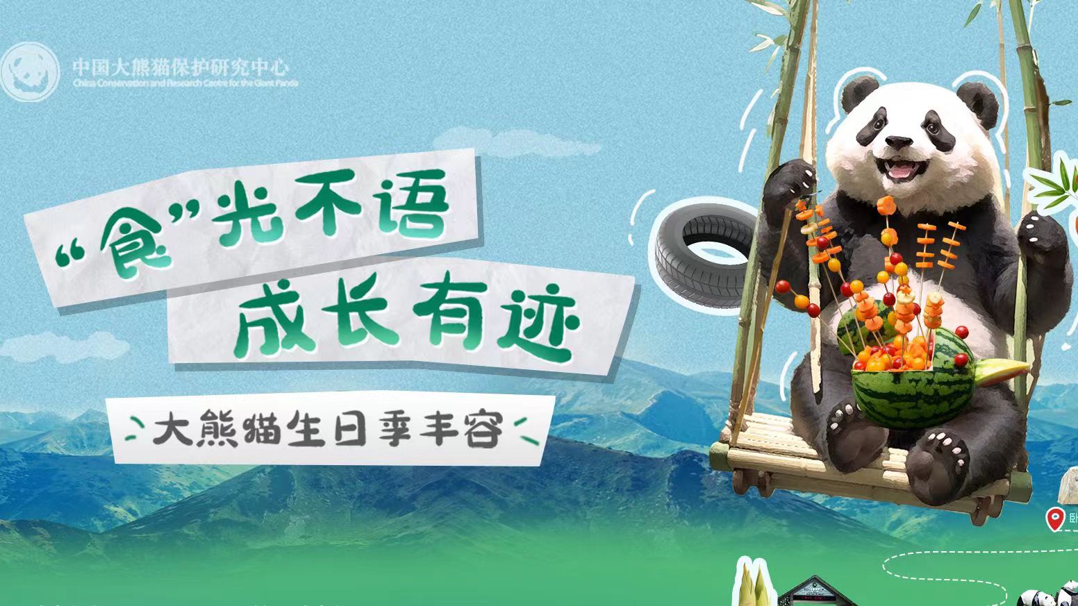  大熊貓也過中秋節(jié)？一起來看國寶的中秋禮物 