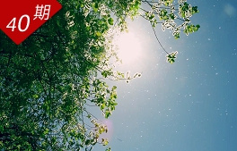 止絮之戰(zhàn)