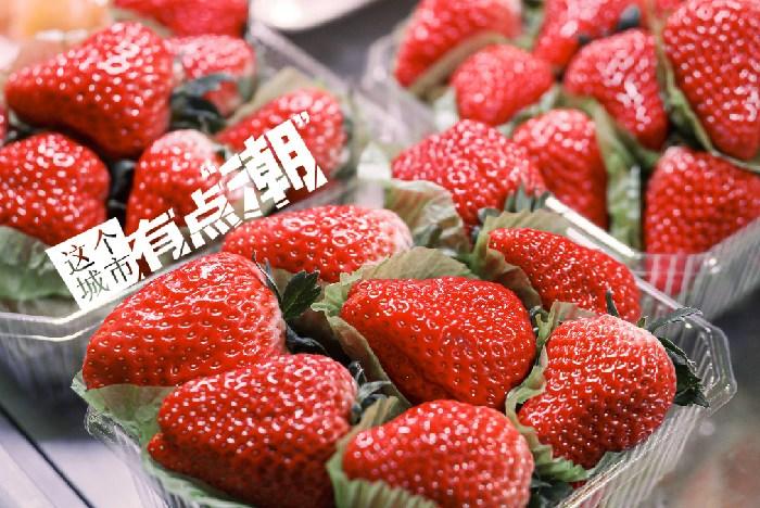 丹東：這一口鮮甜，開啟冬日“莓”好時光