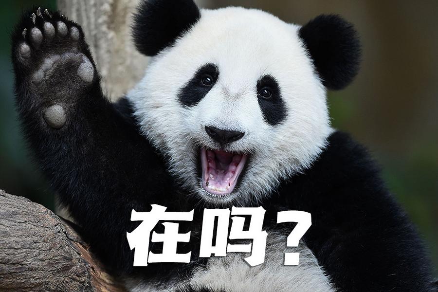 【世界微笑日特刊】嘿嘿，今天你笑了嗎？
